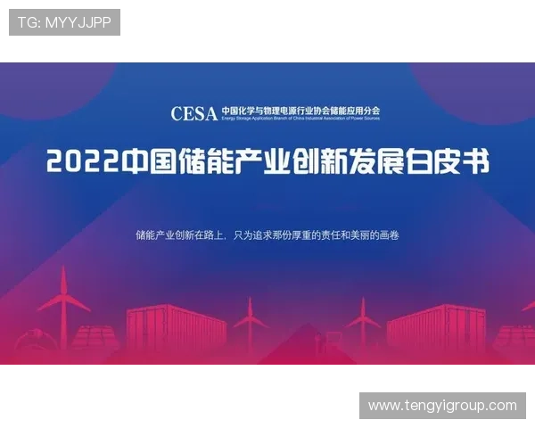 民营企业家的崛起之路：创新驱动与社会责任并行的成功故事